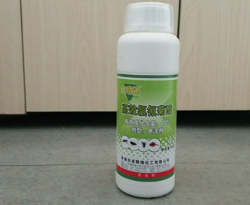 專業除蟲